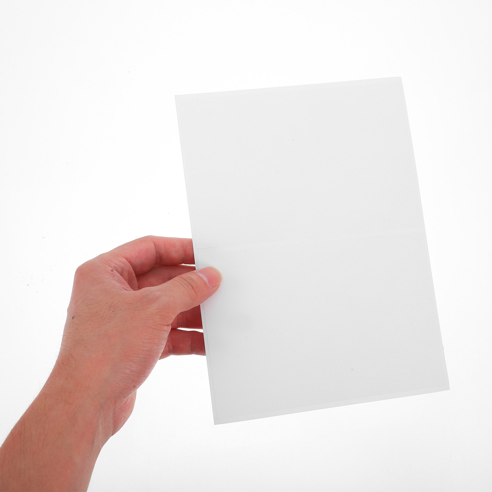 50 Etiquetas Adhesivas para Al - Food Storage Labels reseña y precio