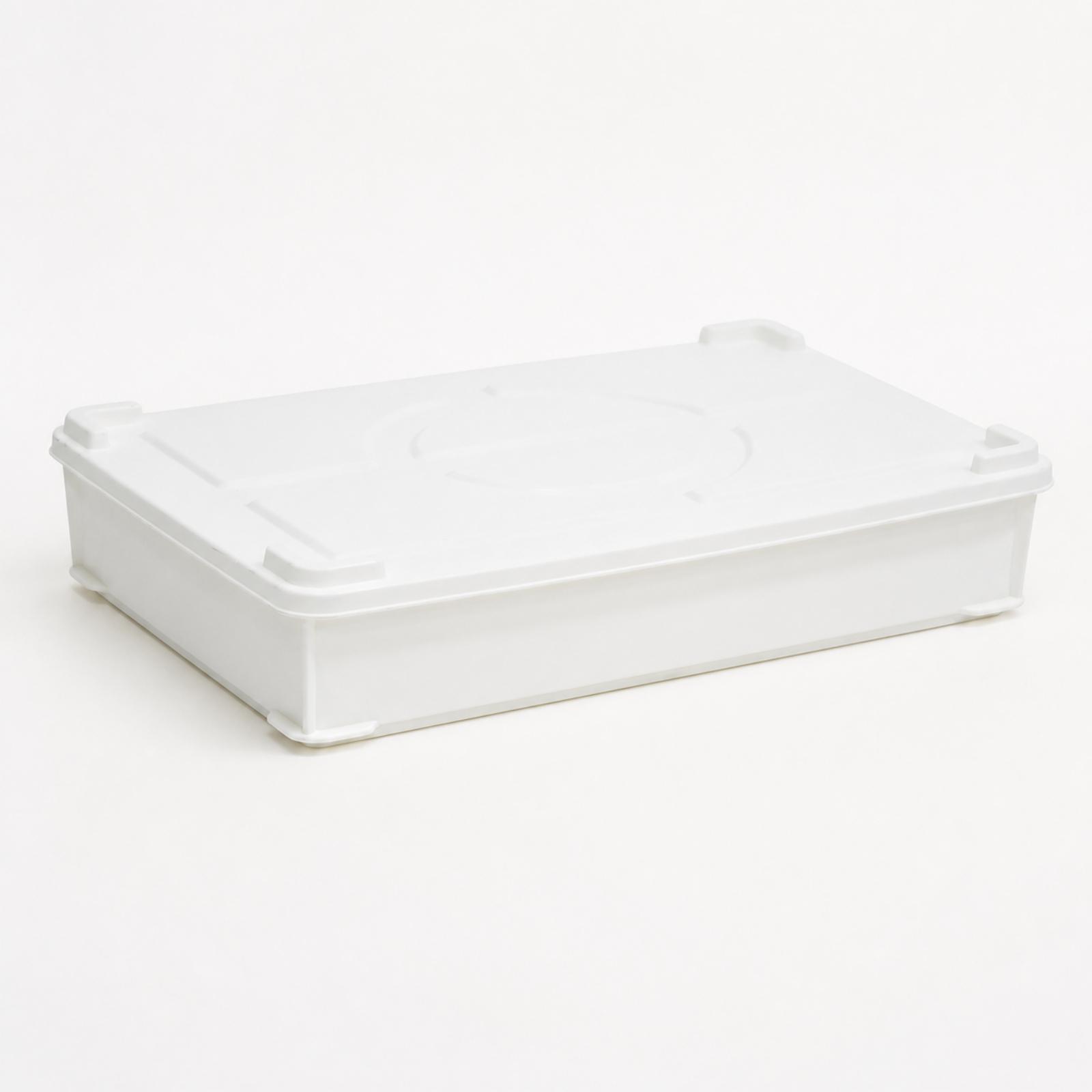 Caja de fermentación de HDPE p - Food Storage Containers reseña y precio